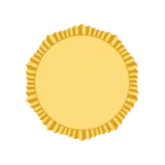 Custom Blank Sunburst Edge Coins